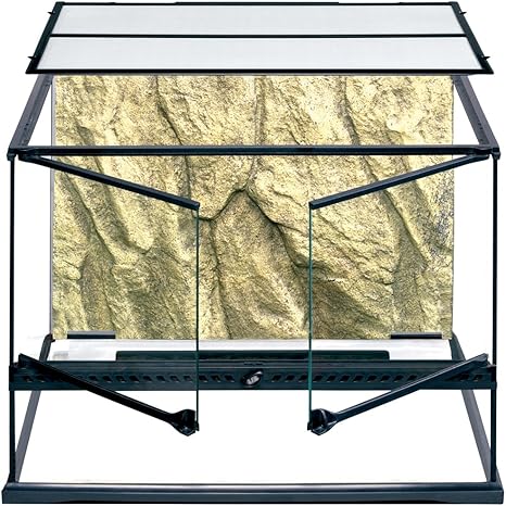 Exo Terra Enclosure 2025