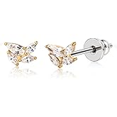 Limerencia Implant Grade Pure Titanium Studs, F136 Hypoallergenic G23 Small Dainty Cubic Zirconia Earrings for Women's Sensitive Ears