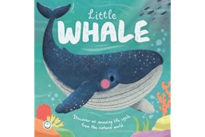 Little Whale: An illustrated story about the life cycle of a whale