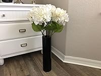 Review Image by D. Williams D. Williams