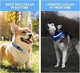 PcEoTllar Light Up Dog Collar USB Rechargeable 8 Modes 7 Colors Blue view 7