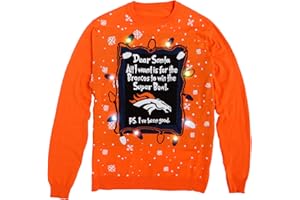 FOCO NFL mens Nfl Team Logo Light Up Dear Santa Holiday Ugly Sweater