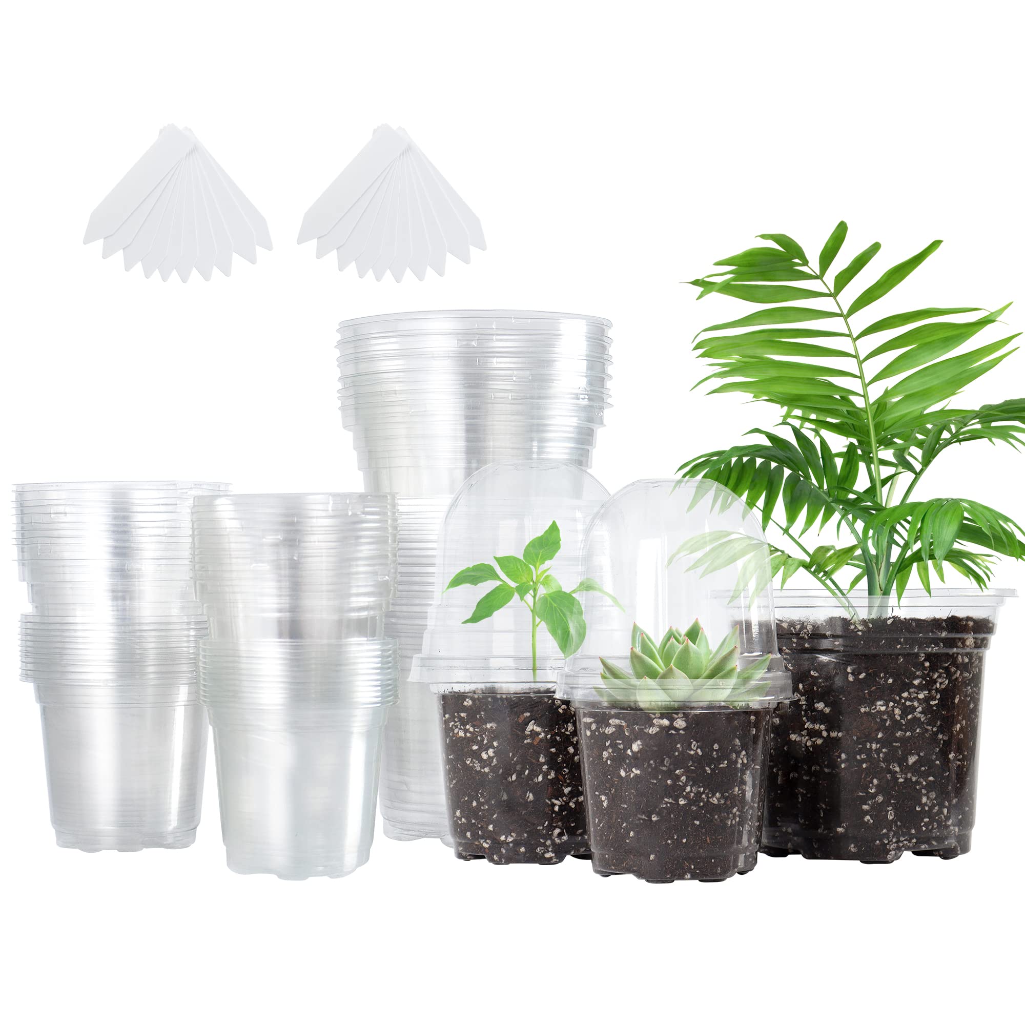 Photo 1 of Bonviee 36 Packs 3.5/4/5 Inch Clear Nursery Pots with Humidity Domes, Variety Sizes Seed Starting Pots with Drainage Holes, Transparent Garden Containers for Succulents, Flowers and Cactus-Clear