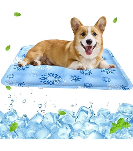Cama Elevada Para Perros Y Gatos - Malla Transpirable, Ideal Verano Y Exterior, 66x45x17 Cm