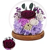 RuiAley Preserved Flowers in Glass Dome Eternal Rose Gift for Women, Valentine's Day Mother's Day Christmas Birthday for Wife Girlfriend (Purple)