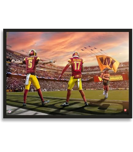 Amazon.com: Sporticulture NFL American Football Framed Wall Art