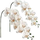 Floroom 2pcs Faux Phalaenopsis Orchid Fake Artificial Flower with Stems, Real Touch Large Blooms 40 Inch for DIY Bouquets, Wedding Centerpieces &amp; Home Decor, Warm Beige