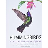 Hummingbirds: A Life-size Guide to Every Species
