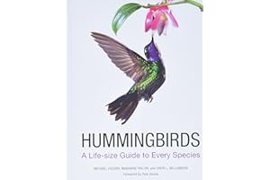 Hummingbirds: A Life-size Guide to Every Species