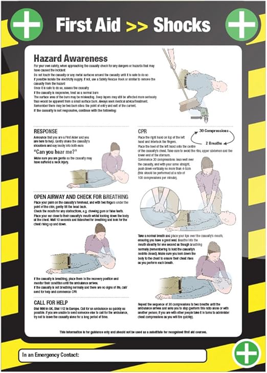 Fixman 306933 Laminated Electric Shock Instructional First Aid Sign 590
