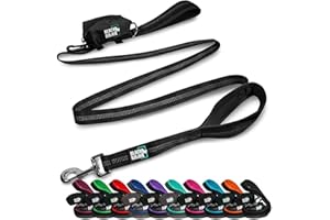 Black Rhino Heavy Duty Dog Leash - 6ft Long Leash for Medium and Large Dogs - Dual Handle Training Lead with Padded Grip, Bag, Reflective Stitching, and Weather Resistant