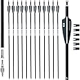 BOWSOUL 31Inch Carbon Arrows for Target Practice Hunting Arrow with Removable Tips for Compound & Recurve Bow(Pack of 12)