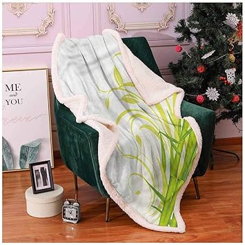 Amazon Com Miles Ralph Blankets Full Size Couch Throw