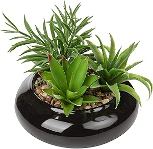 Artificial Succulent Plants Small Fake Desk Plant Realistic Faux Succulents in Black Ceramic Pots Succulent Decor for Home Office Bookshelf Bathroom