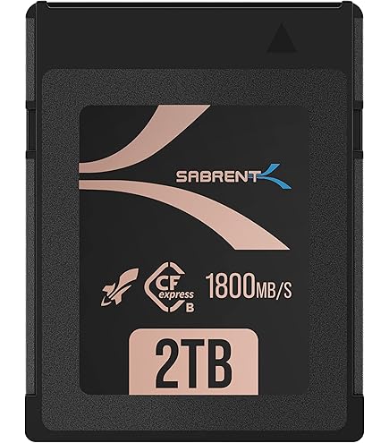 Amazon.com: Angelbird AV PRO SE CFexpress B v4 1 TB - CFexpress