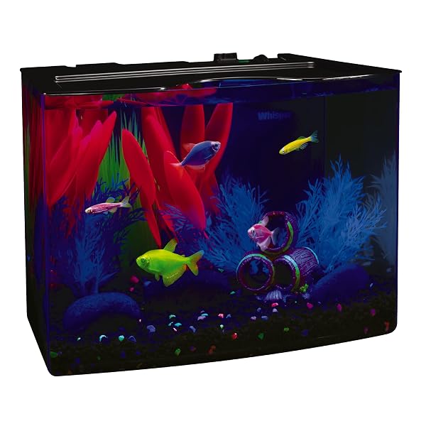 GLOFISH CRESCENT AQUARIUM KIT 3 GALLONS, INCLUDES HIDDEN...