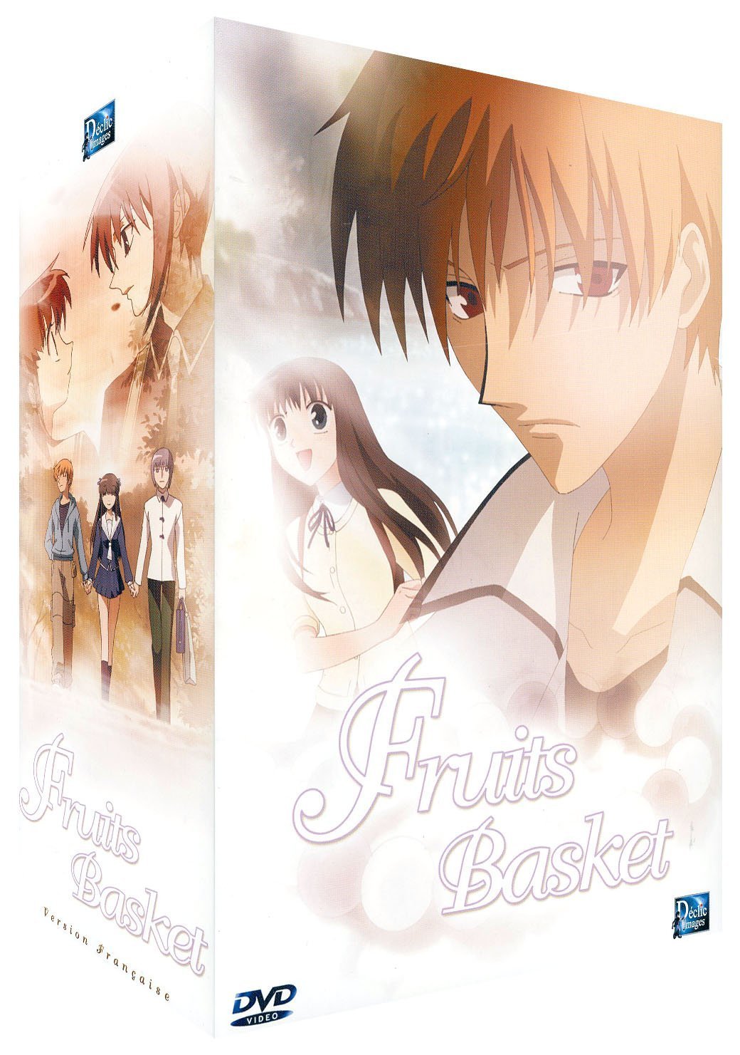 Fruits Basket Coffret 5 DVD Intégrale 26 épisodes VF
