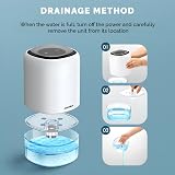 Senelux 1100ml Electric Dehumidifier 7 Color Lights 161 sq ft 59-104°F view 5