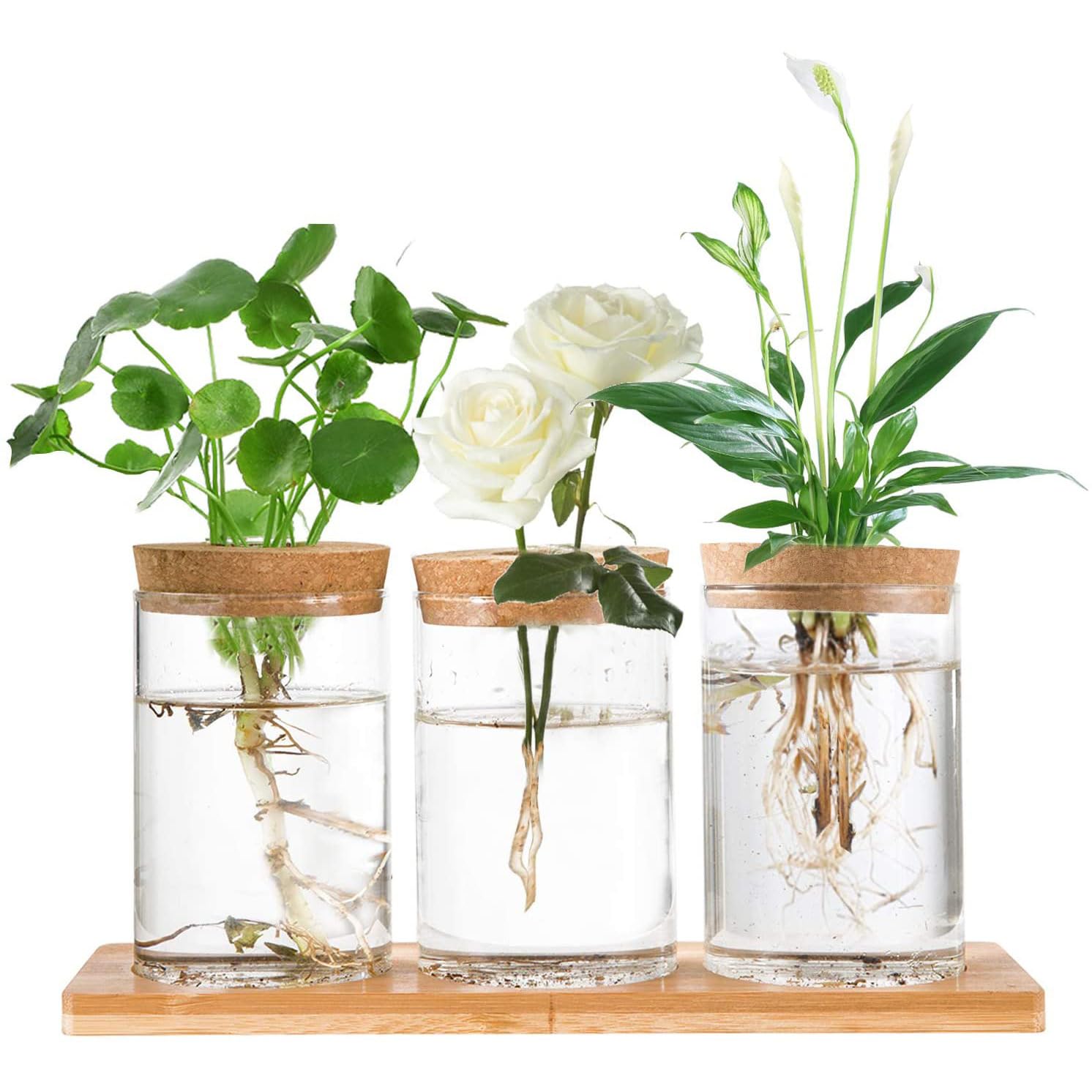 Hniuyun Propagation Stations, Desktop Plant Terrarium with Wooden Tray & Lid for Propagating Hydroponic Plants Centerpiece Office Home Decor, 3 Pcs — image 1