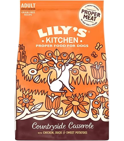 Amazon.com: Lily's Kitchen Dog Food Grain Free Lamb 1Kg : Pet Supplies