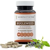 Secrets of the Tribe Bugleweed 60 Capsules, 600 mg, Bugleweed (Lycopus Virginicus) Dried Herb (60 Capsules)