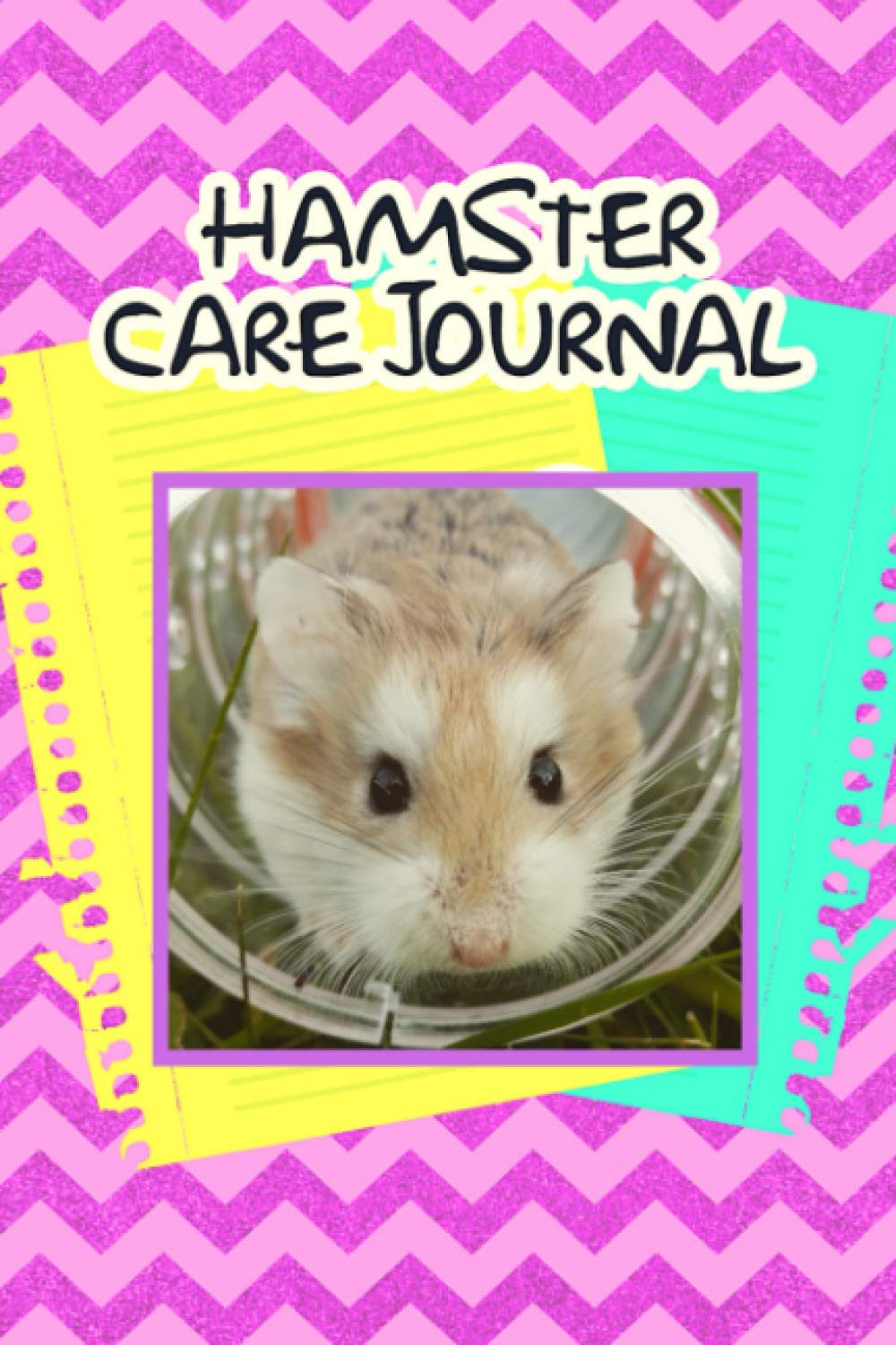 all about hamster care