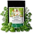 Indoor Herb Pack | 5 Herb Varieties for Year-Round Windowsill Garden | Fresh Herbs All Year - Kitchen Herb Seeds | Basil, Cil