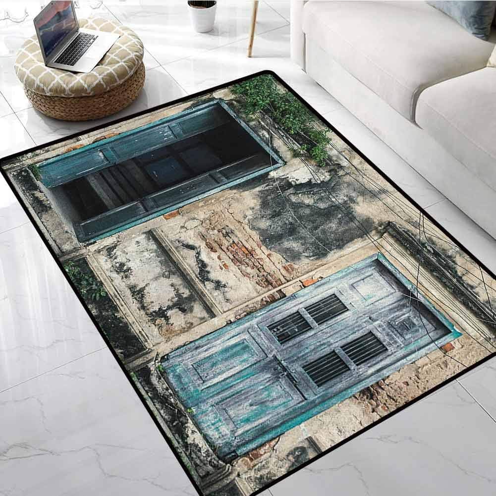Runner Rugs Rustic,Doors of Old Rock House with French Frame Details in Countryside European Past Theme Teal Grey,for Living Room Bedrooms Kids Nursery Home Decor 39"x65"inch