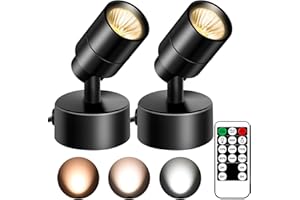 FZWLE 2 Pack LED Spot Lights - Dimmable with Timer & Remote,3W 3000K-5000K, 5.9FT Cord for Paintings,Wall Art, Indoor Plants & Home Accent Lighting