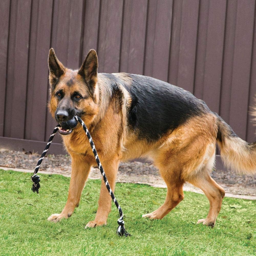 KONG Extreme Ball with Rope - Durable Natural Rubber Dog Fetch Toy with Rope for Easy Throwing - for Large Dogs Black - Image 4