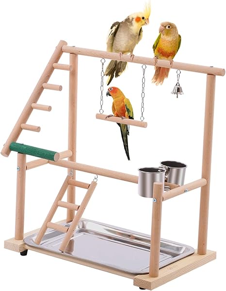 parakeet gym