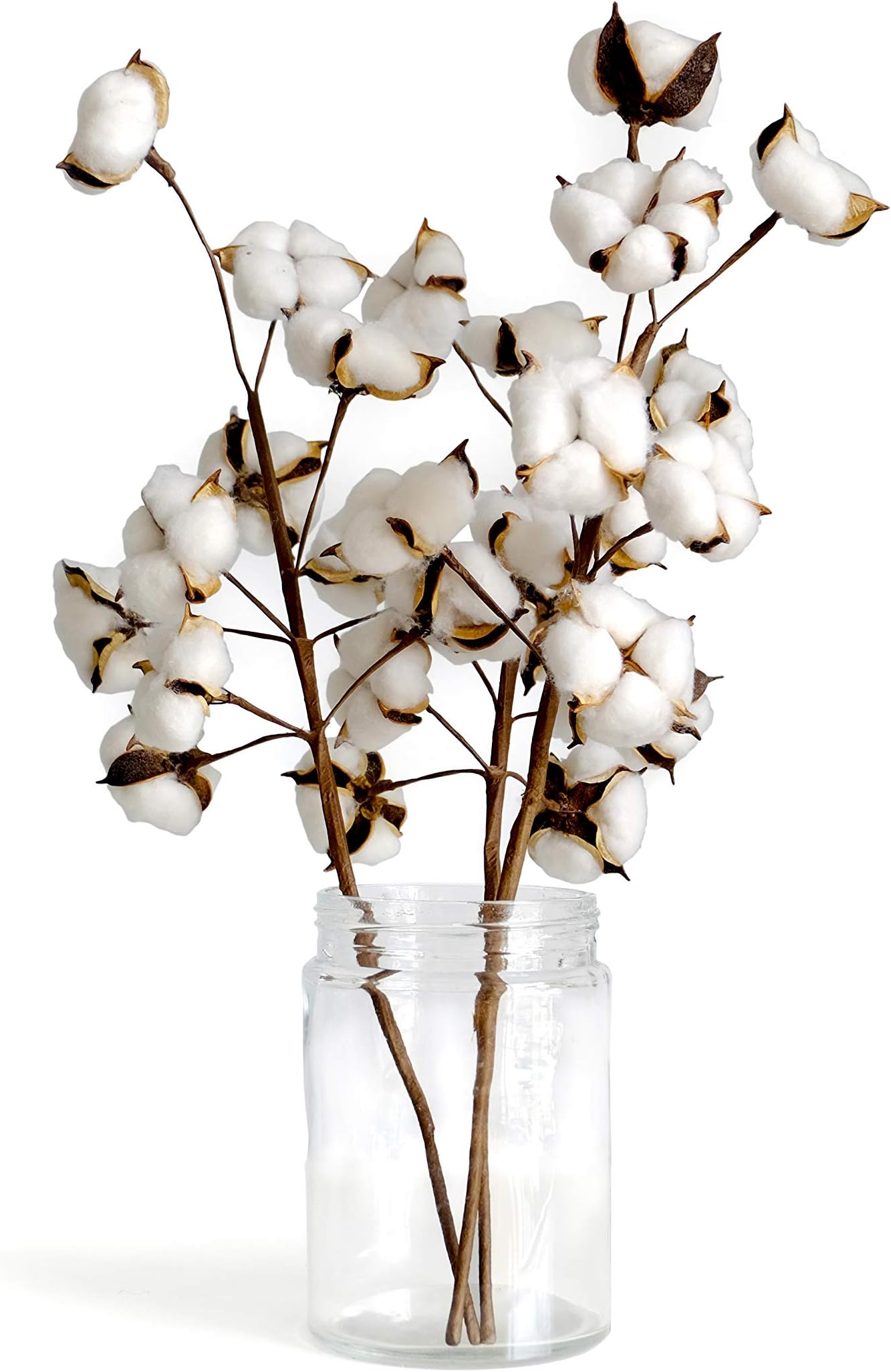 Cotton Stems Farmhouse Style Display for Floral, Wedding and Fall Decor - 3 Pack of 21 Inch Picks with 10 White Heads Each
