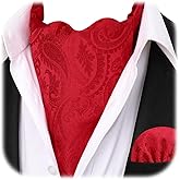 HISDERN Ascot Ties for Men Paisley Floral Ascot and Pocket Square Set Classic Self Tie Mens Cravat Handkerchief for Wedding