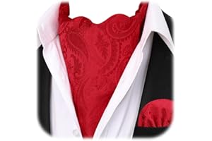 HISDERN Ascot Ties for Men Paisley Floral Ascot and Pocket Square Set Classic Self Tie Mens Cravat Handkerchief for Wedding