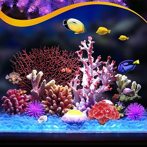 Disney Fish Tank Decorations Disney, Fish, Hp Disneypixar Finding