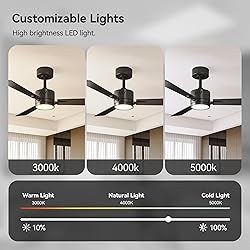 SUNMORY Ceiling Fans with Lights and Remote, 42