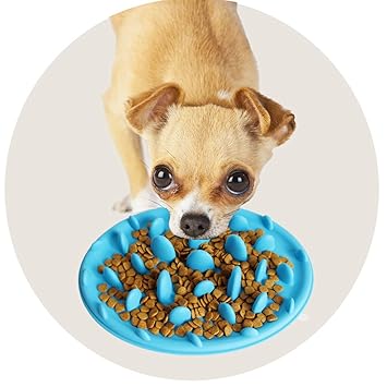 Meliya Mini Slow Dog Feeder Slow Eating Dog Bowl Interactive