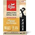 ORIJEN Amazing Grains Puppy Dry Dog Food, High Protein Dog Food for Puppies, Fresh or Raw Ingredients, 4lb
