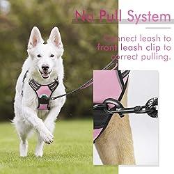 rabbitgoo Dog Harness,No-Pull Pet Harness with 2