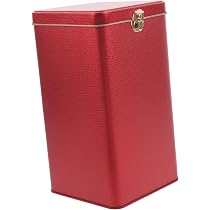 Amazon.com: Caja de lata de té de metal con cerradura de lata con ...