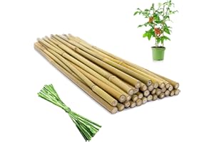 WDZZHOT [32 Pcs] Garden Stakes, 18 Inches Natural Bamboo Plant Stakes, Plant Support Stakes with Twist Ties, Bamboo Sticks for Tomatoes, Beans, Flowers, Potted Plants, Indoor and Outdoor Climbing Plants