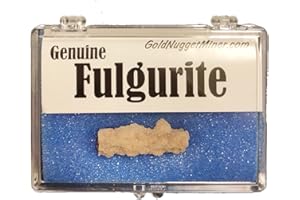 GOLDNUGGETMINER Genuine Fulgurite with Display Box and Information (Lighning Fused Sand)