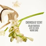 Sol de Janeiro Cheirosa 87 Rio Radiance Hair & Body Fragrance Mist 90mL view 3