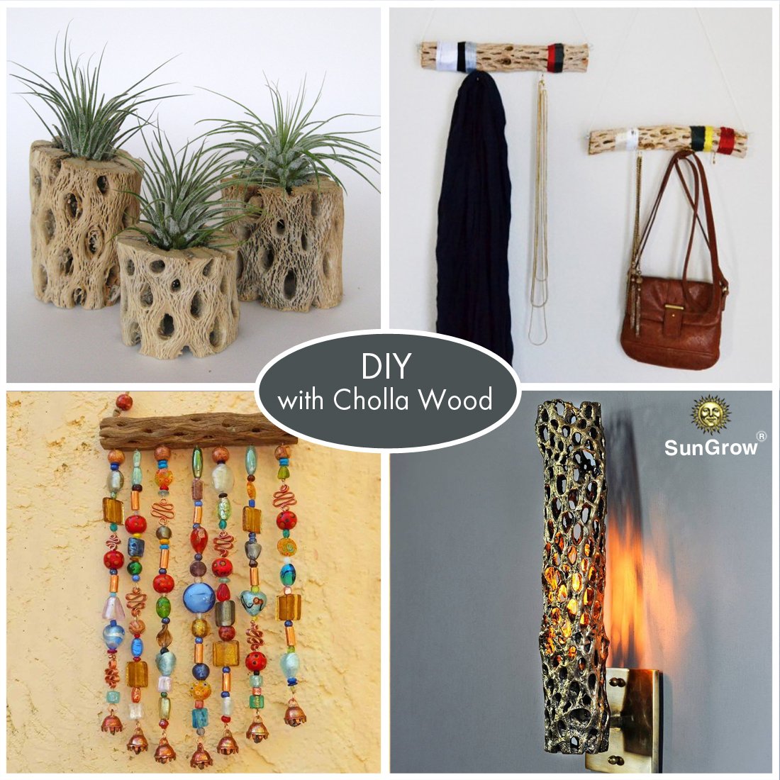 Natural Betta Wood by SunGrow - 3 Pieces - Perfect Cholla Wood Toy for Betta fish - Each Piece is 6 inches Long - Organic softwood, no thorns - Great for Aquarium Decoration