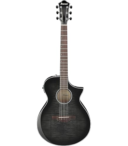 Amazon.com: Ibanez AEG70 Acoustic-Electric Guitar - Transparent