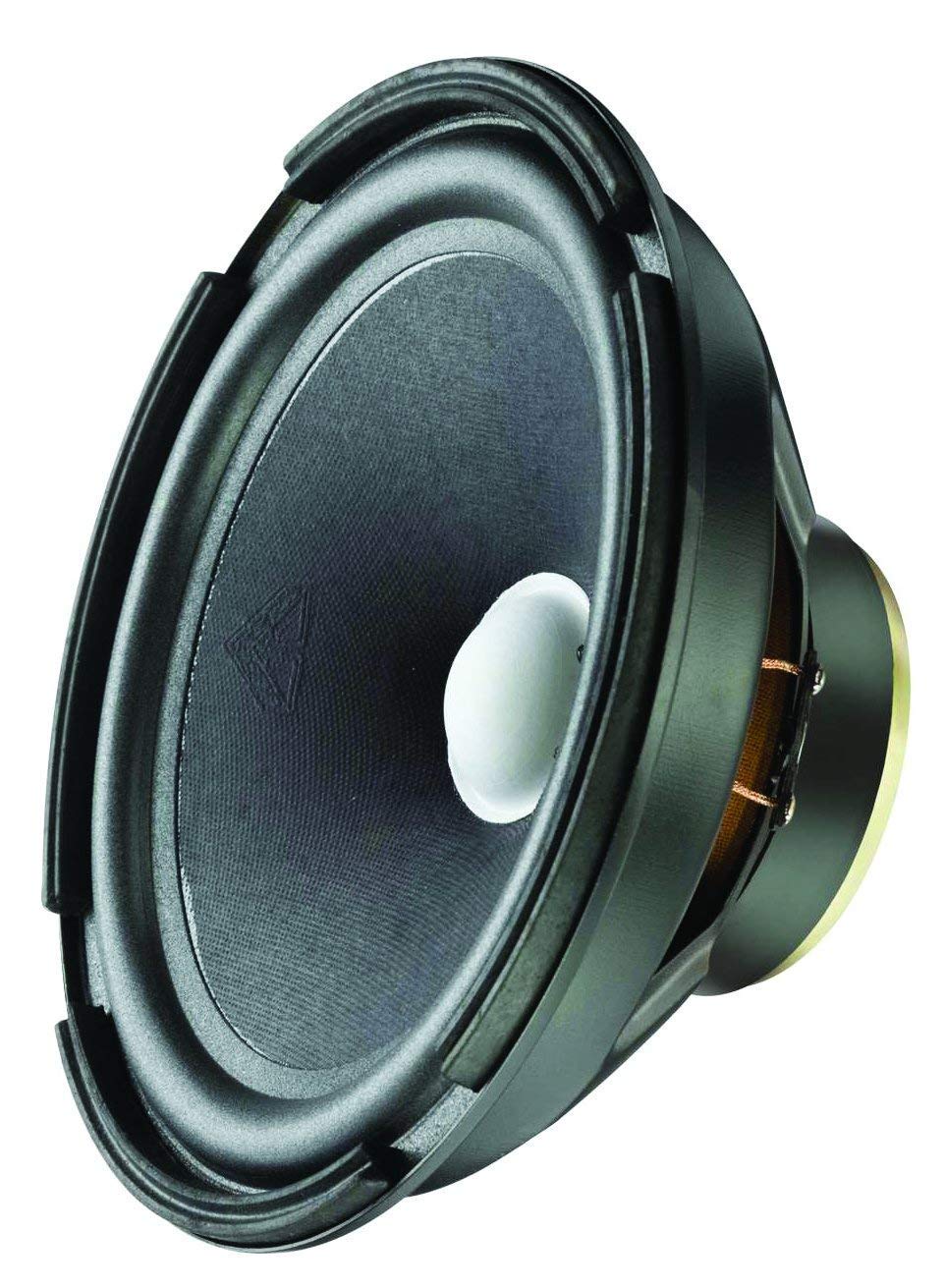 sweton speaker 15 inch