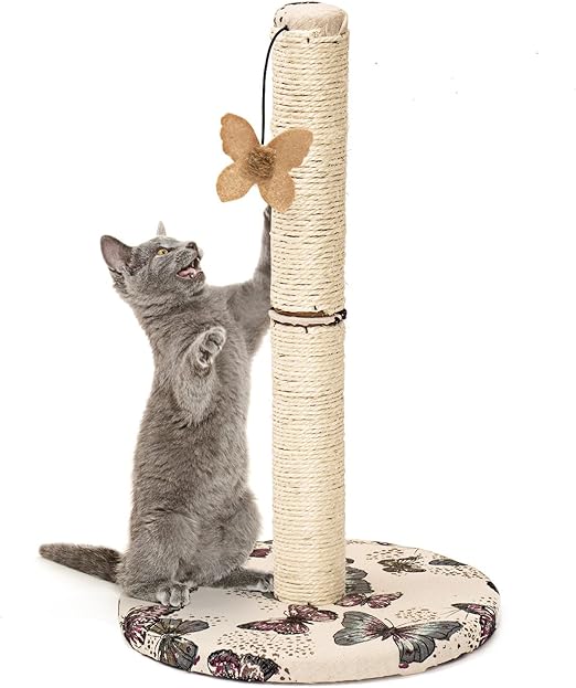hanging scratching post