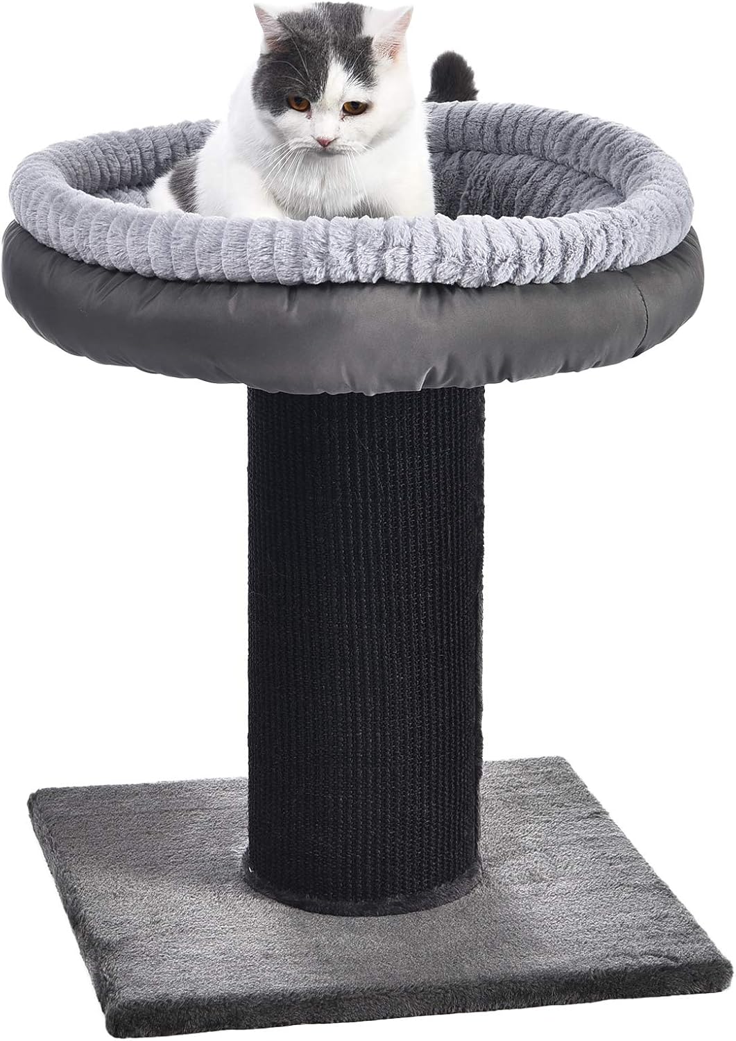 Basics Extra Large Cat Scratching Post Tree Tower With Bed, 19 x 19 x 26 Inches, Black : Pet Supplies