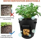 DIVCHI 10 Gallon Potato Grow Bags 2 Pack with Harvest Window & Handles view 3