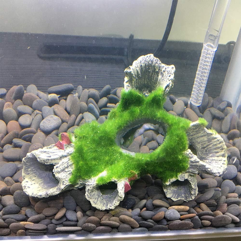 Amazon アクアリウム オブジェ 水槽 オーナメント 水槽 アクセサリー 観賞魚 熱帯魚 金魚 爬虫類 隠れ家 水族館内装 構築植物 水槽 飾り ミニ水草 人工流木セット A タイプ Smoothedo Pets オーナメント 通販